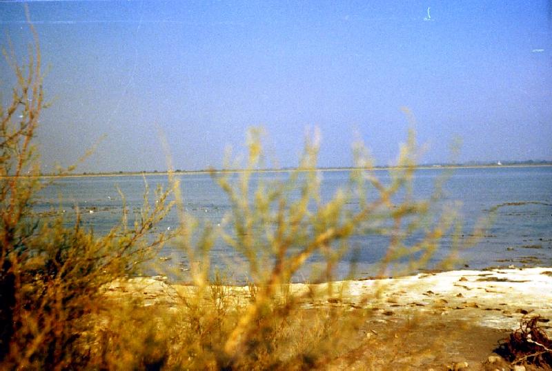 seite_09_003