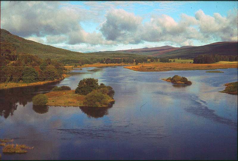 19_Carbisdale_Castle_3