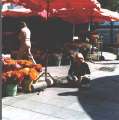 04-Avignon-3