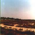 11-Camargue-1